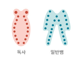 뱀에게 물렸을 때 응급처치1